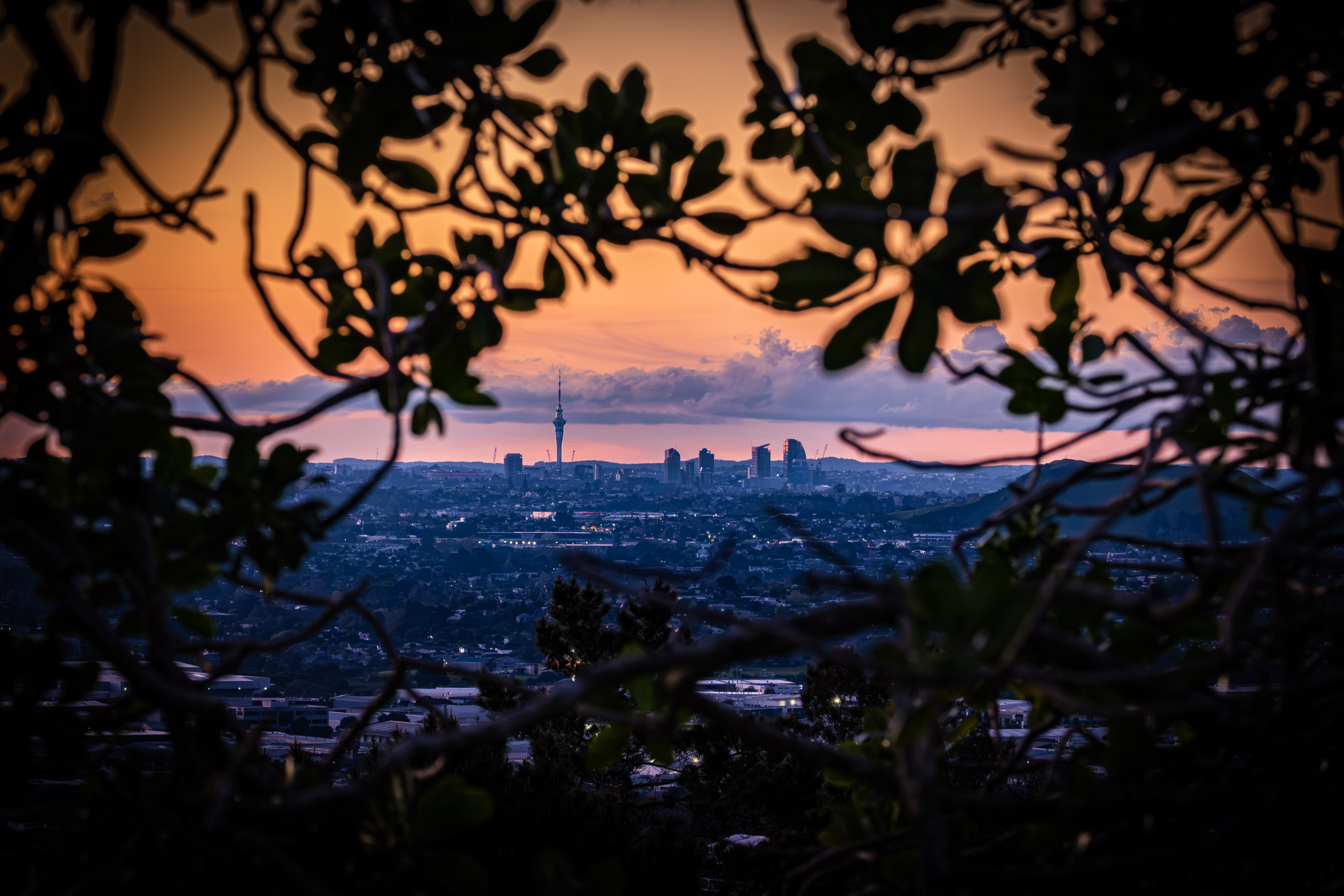 Auckland sunset