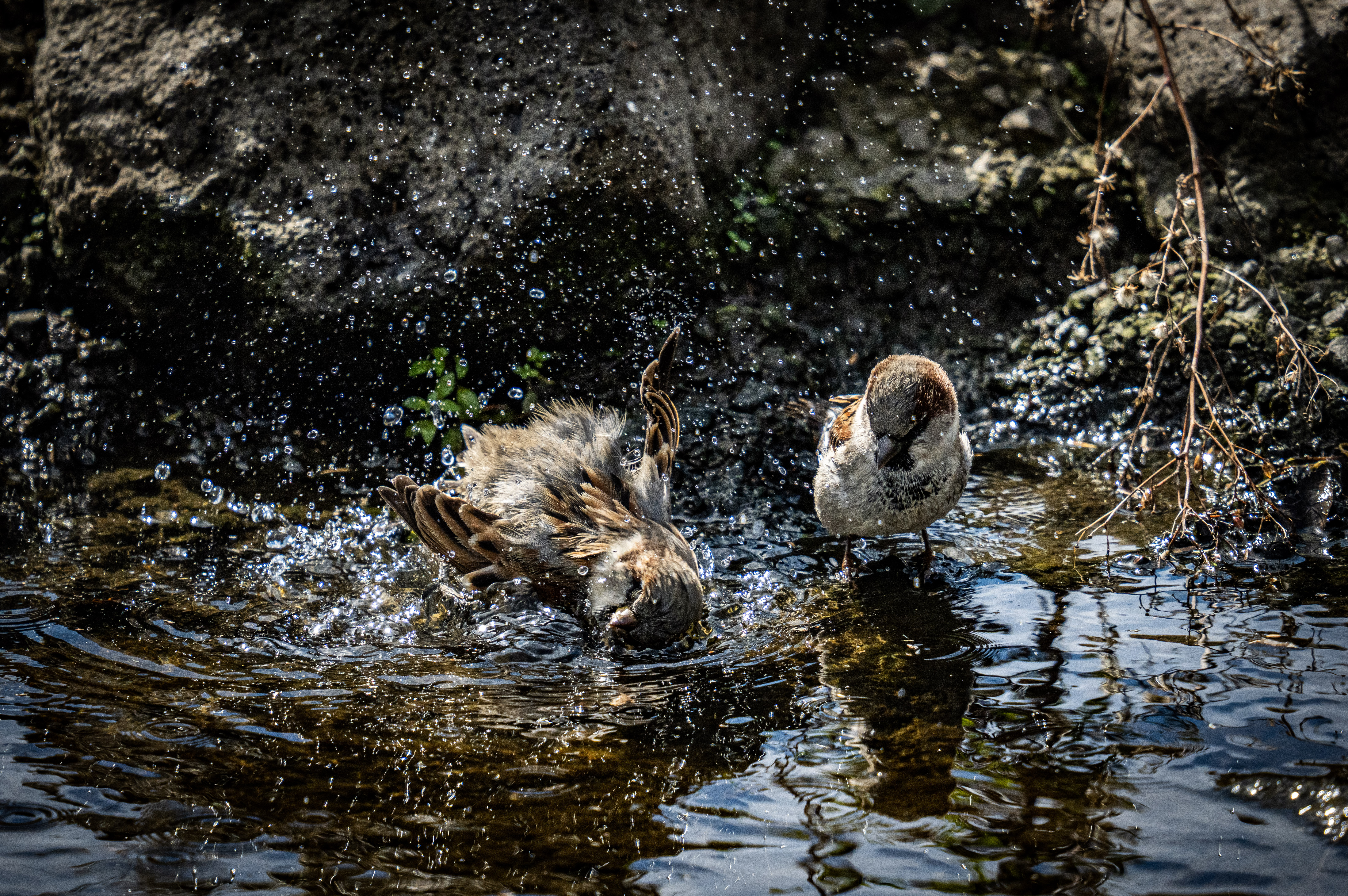 Bath time
